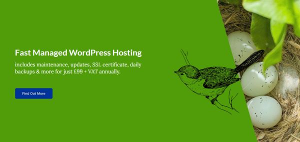 fast Swindon website hosting