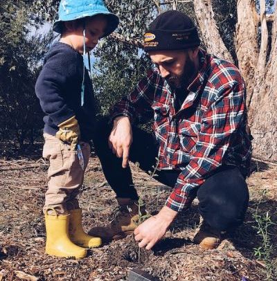 funding for tree planting projects